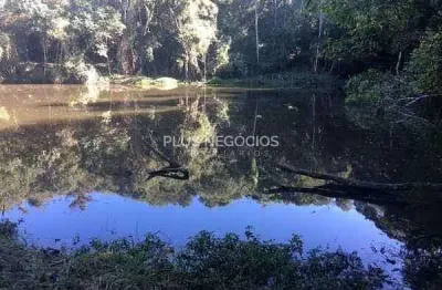 Sitio em piedade 10 alqueires  isso abre ainda mais possibilidades—desde cultivo em grande escala a