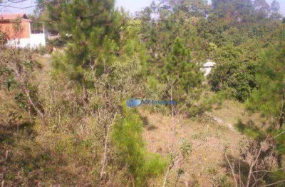 Terreno à venda, 2720 m² por r$ 330.000,00 - veraneio ijal - jacareí/sp