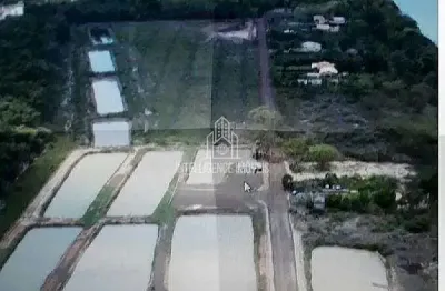 ## chácara à venda com 50.000 m² a 60km de cuiabá com acesso ao rio cuiabá no centro em acorizal-mt