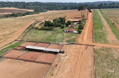 Chácara / sítio com 4 quartos à venda na Fazenda Localizada A 70km Da Cidade De Colíder, Zona Rural, Colíder