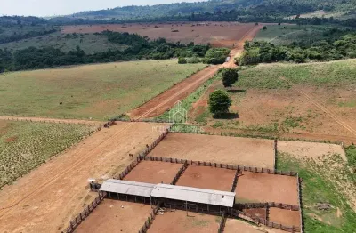 Chácara / sítio com 4 quartos à venda na Fazenda Localizada A 70km Da Cidade De Colíder, Zona Rural, Colíder
