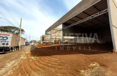 Galpão para aluguel, 4 vagas, santa monica - uberlandia/mg