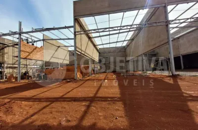 Galpão para aluguel, 4 vagas, santa monica - uberlandia/mg