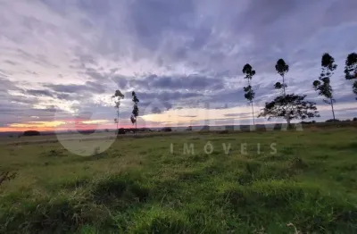 Sítio com 75.000m², topografia plana, 4 km do trevo da petrobras - uberlândia