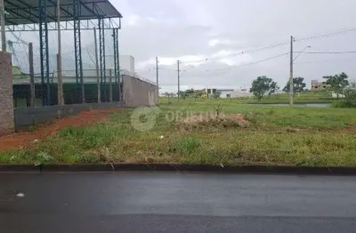 Terreno comercial para alugar no Novo Mundo, Uberlândia 