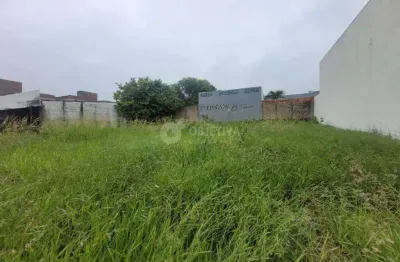 Excelente terreno na avenida principal do bairro jardim botânico