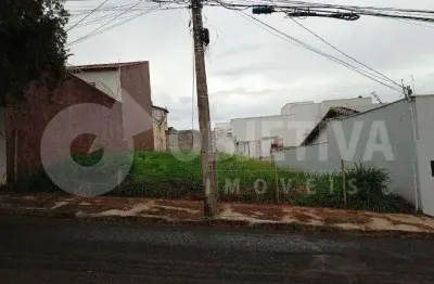 Lote de gaveta disponível para venda no bairro vigilato pereira em uberlândia