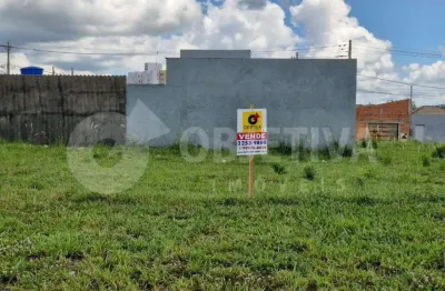 Terreno à venda no Residencial Lago Azul, Uberlândia 