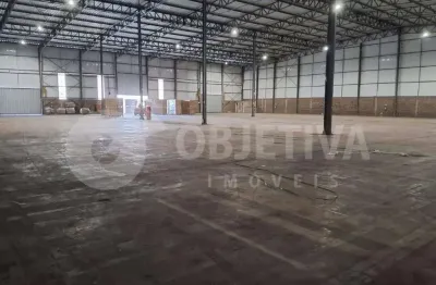 Galpão para aluguel, 30 vagas, distrito industrial - uberlandia/mg