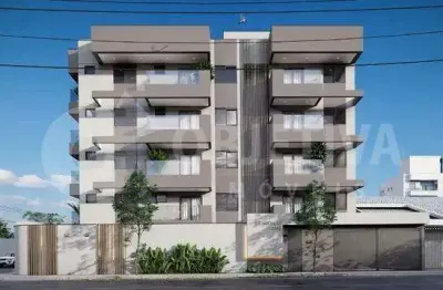 Apartamento à venda, 2 quartos, 1 suíte, 1 vaga, santa monica - uberlandia/mg