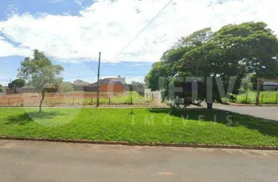 Terreno à venda no Santa Mônica, Uberlândia 