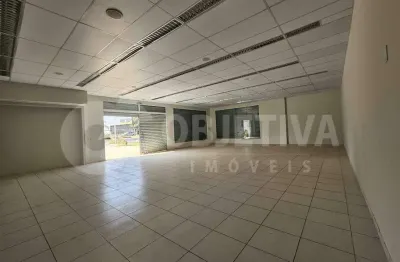 Loja para aluguel, 12 vagas, novo mundo - uberlandia/mg