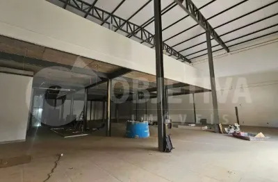 Galpão para aluguel, 10 vagas, santa luzia - uberlandia/mg