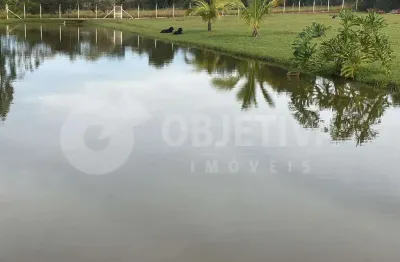 Fazenda à venda, 2 quartos, 1 suíte, 22 vagas, zona rural - uberlandia/mg