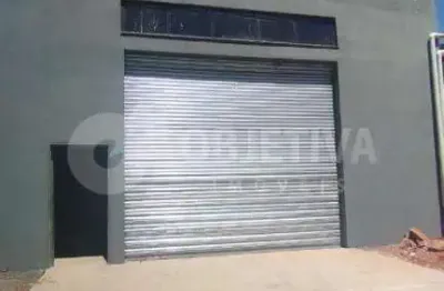 Galpão para aluguel, 2 vagas, sao jorge - uberlandia/mg