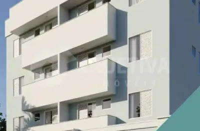 Apartamento à venda, 2 quartos, 1 vaga, pampulha - uberlandia/mg