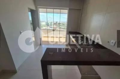 Apartamento à venda, 2 quartos, 1 suíte, 1 vaga, brasil - uberlandia/mg