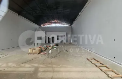 Galpão para aluguel, 4 vagas, Nossa Senhora Aparecida - UBERLANDIA/MG