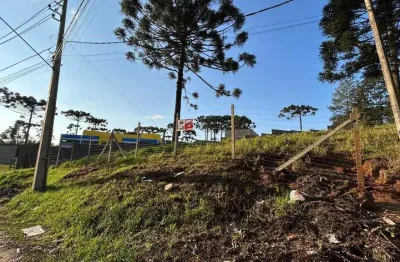Terreno à venda na Rua Luíz Gulin, 783, Jardim Osasco, Colombo
