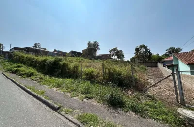 Terreno à venda na Avenida Portugal, 397, Guarani, Colombo