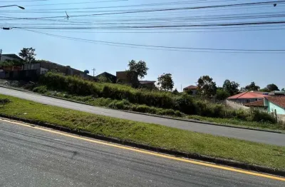 Terreno comercial à venda na Avenida Portugal, 397, Guarani, Colombo