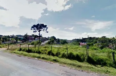 Terreno comercial para alugar na Rodovia do Contorno Norte, 443, Roça Grande, Colombo
