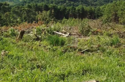 Terreno à venda no bom jardim, camanducaia , 20000 m2 por r$ 321.000