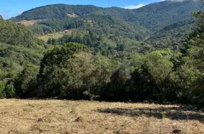 Terreno à venda no bom jardim, camanducaia , 20000 m2 por r$ 401.000