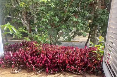 Casa com 4 quartos à venda na Rua Filinto de Almeida, --, Vila Madalena, São Paulo