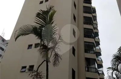 Apartamento com 3 quartos à venda ou para locação em sumaré - sp