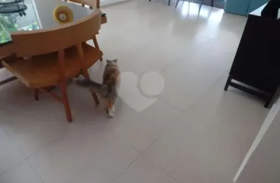 Casa com 3 quartos à venda na Rua Laiana, --, Boaçava, São Paulo