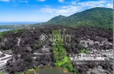 Terreno residencial à venda, lagoa da conceição, florianópolis - te0008.