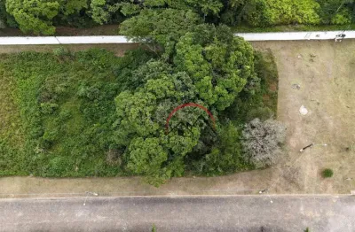 Terreno em condomínio fechado à venda na Avenida Central C, 16, Bougainvillee V, Peruíbe
