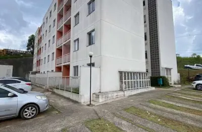 Apartamento com 2 quartos para alugar na Rua Vereador Nelson Joaquim da Silva, Lageado, Cotia