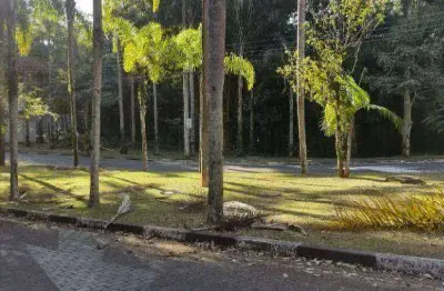 Terreno em condomínio fechado à venda na Praça Estevão Falcão, Tucuruvi, São Paulo