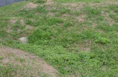 Terreno em condomínio fechado à venda na Rua Professora Margarida Ruth Ferreira de Lima, Horto Florestal, São Paulo