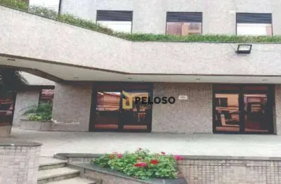 Sala comercial com 2 salas à venda na Rua Ezequiel Freire, Santana, São Paulo