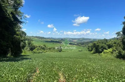 Chácara à venda, 20000 m² por r$ 410.000,00 - rio do salto - cascavel/pr