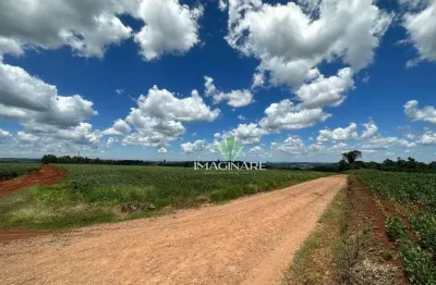 Chácara à venda, 30000 m² por r$ 750.000,00 - rio do salto - cascavel/pr