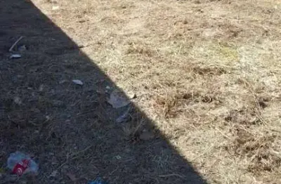 Terreno à venda na Vila Carlito, Campinas 