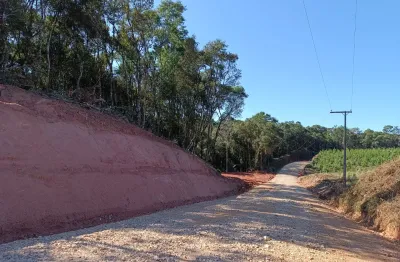 Área rural  20.000 m2 interior de campo largo frente para rodovia