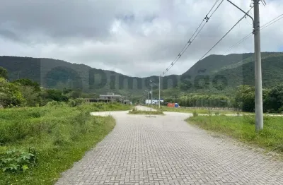 Terreno à venda na Rodovia Baldicero Filomeno, Ribeirão da Ilha, Florianópolis