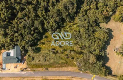 Terreno em condomínio fechado à venda na Alameda das Araribás, Condomínio Terras de São José II, Itu