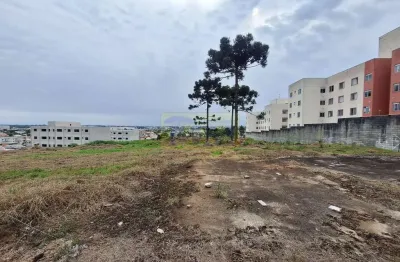 Terreno à venda na Rua Vereador Antônio Romeu Simoni, 376, Jardim Amélia, Pinhais
