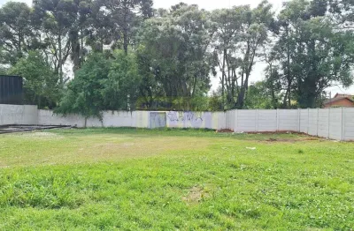 Terreno à venda na Rua Carlos Pereira Canani, 307, Vargem Grande, Pinhais
