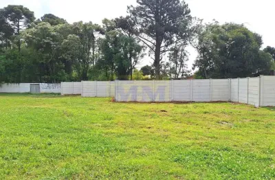 Terreno à venda na Rua Carlos Pereira Canani, 307, Vargem Grande, Pinhais