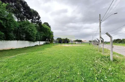 Terreno com 149 m² no bairro vargem grande, em pinhais/pr