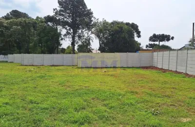 Terreno à venda na Rua Carlos Pereira Canani, 307, Vargem Grande, Pinhais
