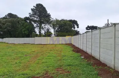 Terreno à venda na Rua Carlos Pereira Canani, 307, Vargem Grande, Pinhais
