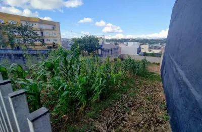 Terreno comercial à venda na Avenida Jacob Macanhan, 3796, Jardim Cláudia, Pinhais